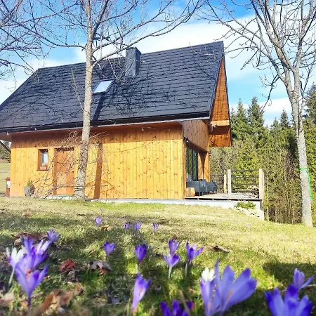 Przystanek Gorce * Новы-Тарг
