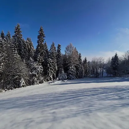 Przystanek Gorce * Новий Тарг