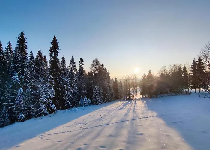 Domek alpejski Przystanek Gorce Nowy Targ