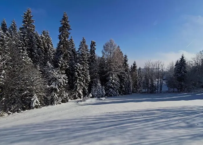 Przystanek Gorce * Nowy Targ